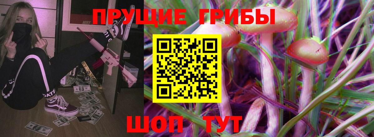 Галлюциногенные грибы Psilocybe Оренбург